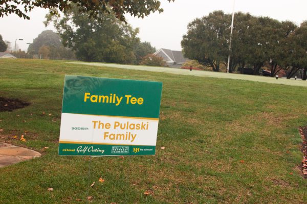 IMG_7584-min #image_title