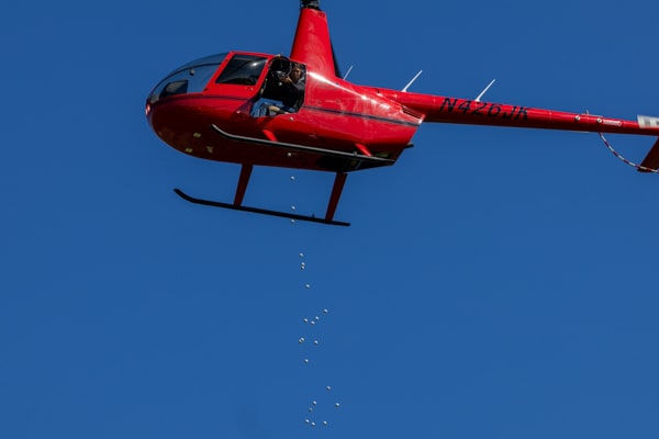 Gala-Compressed-145-min #image_title